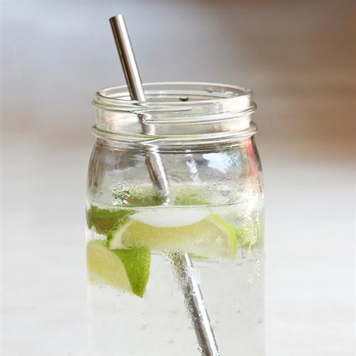 Stainless Steel Straw + Straw Brush