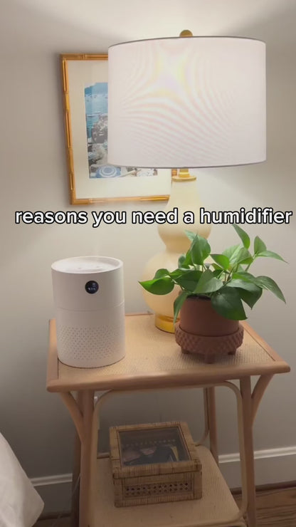 RECHARGEABLE DESKTOP 2L HUMIDIFIER