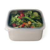 Square To-Go Food-Storage Container